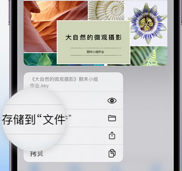 博爱apple维修中心分享iPhone文件应用中存储和找到下载文件