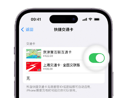 博爱apple维修点分享iPhone上更换Apple Pay快捷交通卡手绘卡面 