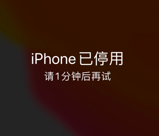 博爱苹果手机维修分享:iPhone 显示“不可用”或“已停用”怎么办？还能保留数据吗？ 