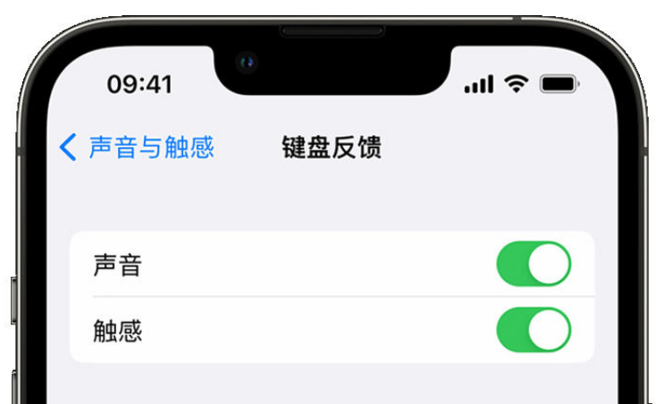 博爱苹果手机维修分享iPhone 14触感键盘使用方法 