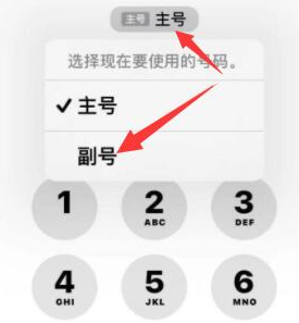 博爱苹果14维修店分享iPhone 14 Pro Max使用副卡打电话的方法 