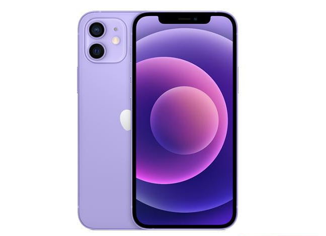 博爱苹果手机维修分享现阶段要不要入手紫色版iPhone12 