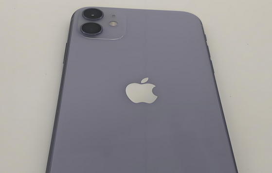 博爱苹果11系统维修分享iPhone11手机系统崩溃无法开机如何解决 